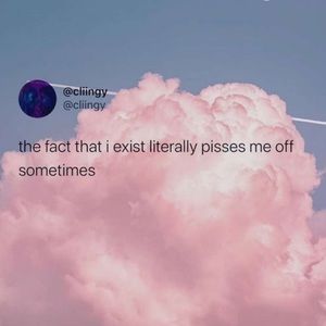 Meet your Posher, Brynne